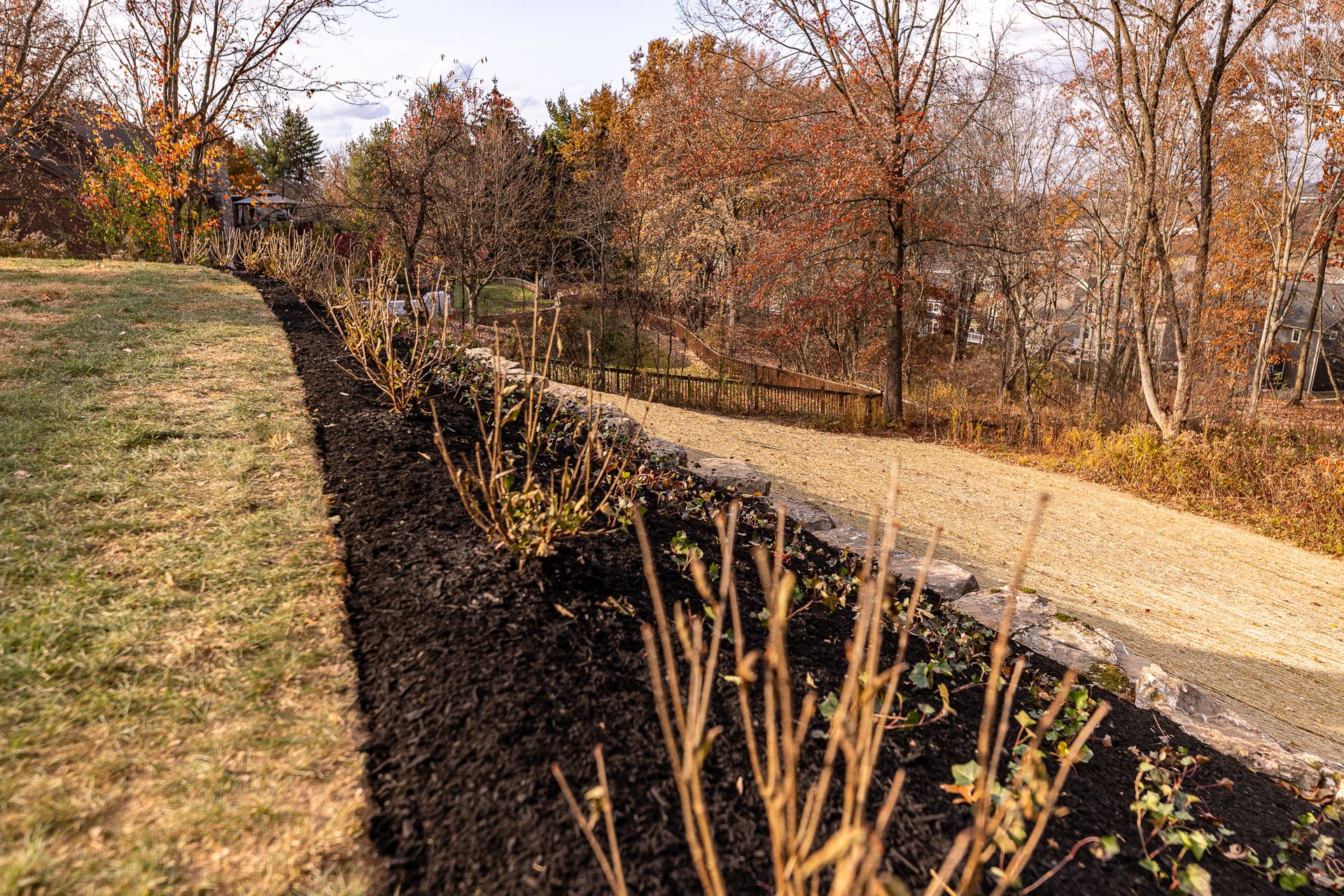 There is a path going through the woods with trees in the background.