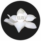 Witte bloem met de tekst