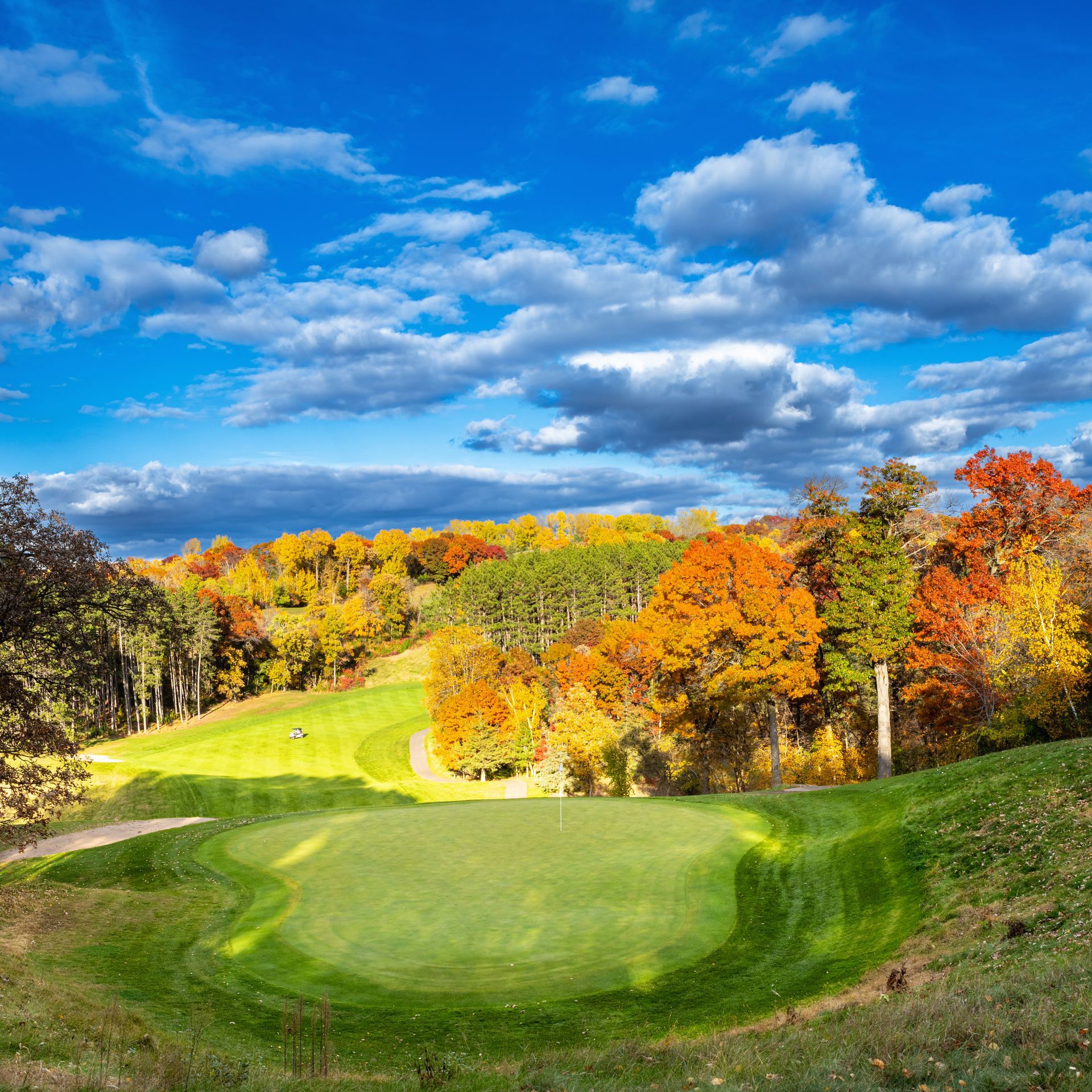 A group of people are playing golf on a golf course surrounded by trees.