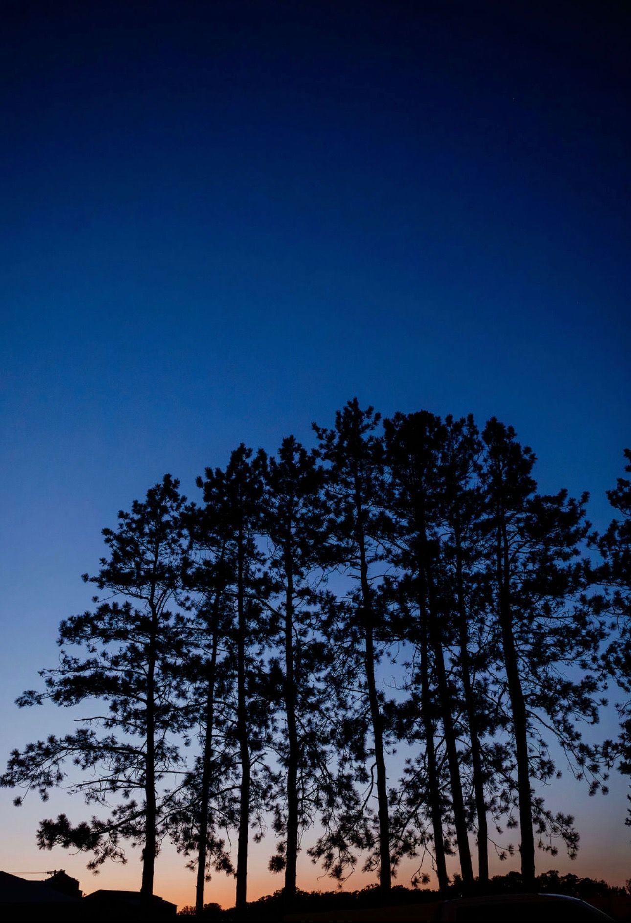 Night time photo.