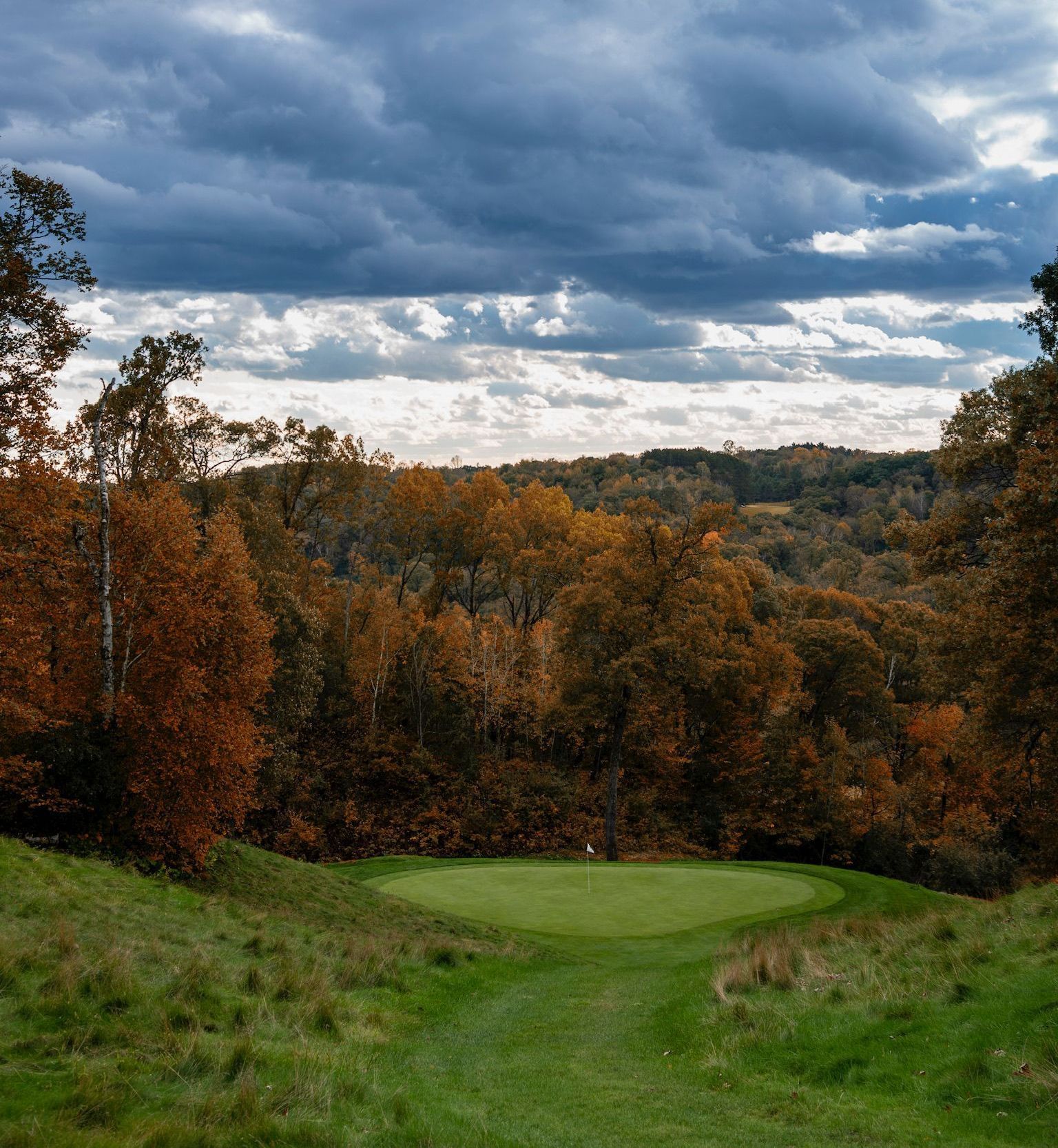 Scenic view of the golf course and the expanding view of trees.