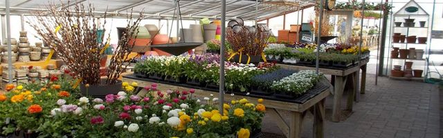 Nursery