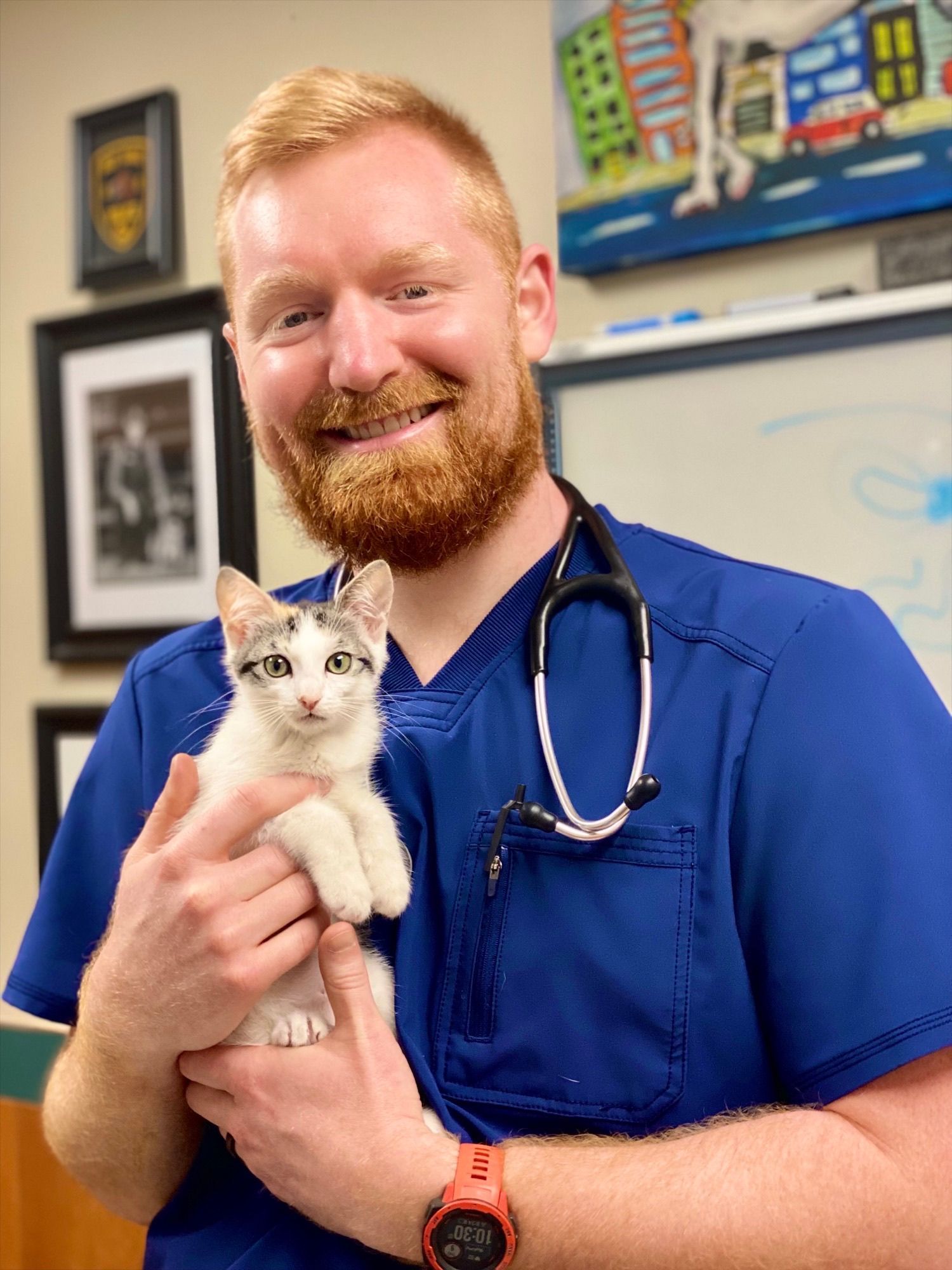 A man with a beard is holding a kitten in his arms.