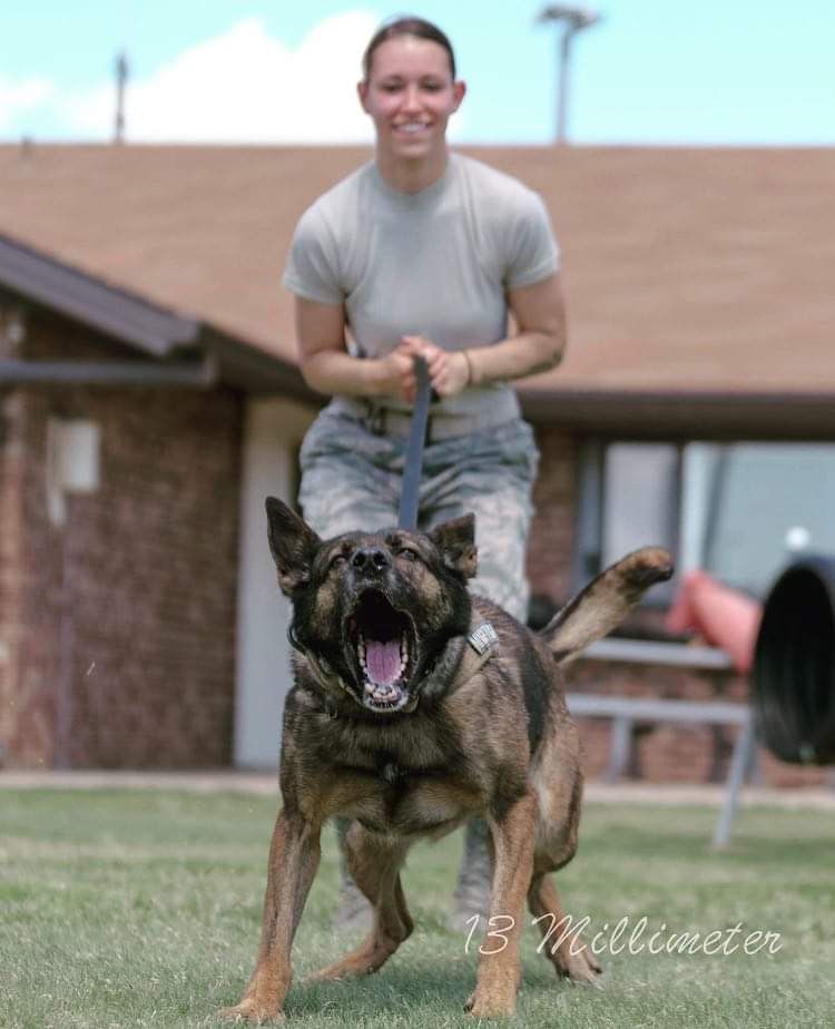 A woman is standing next to a german shepherd on a leash