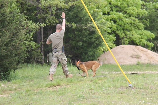 A man in a military uniform is standing in a field with a dog.