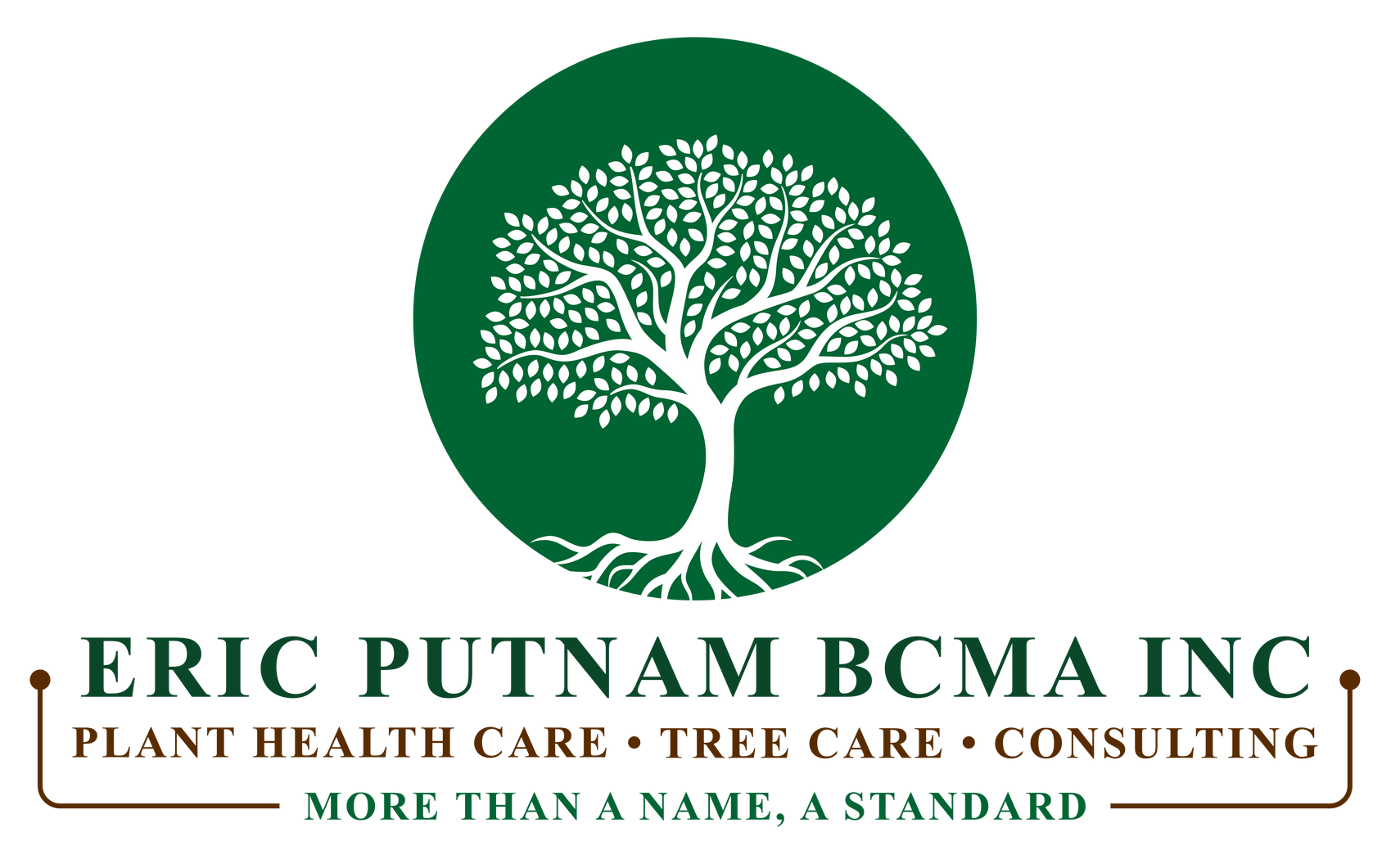 Tree Health Care Arborist In Clear Lake Texas
