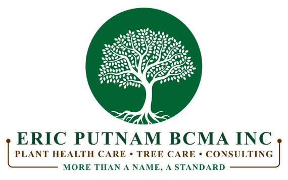 Eric Putnam, ISA Master Arborist