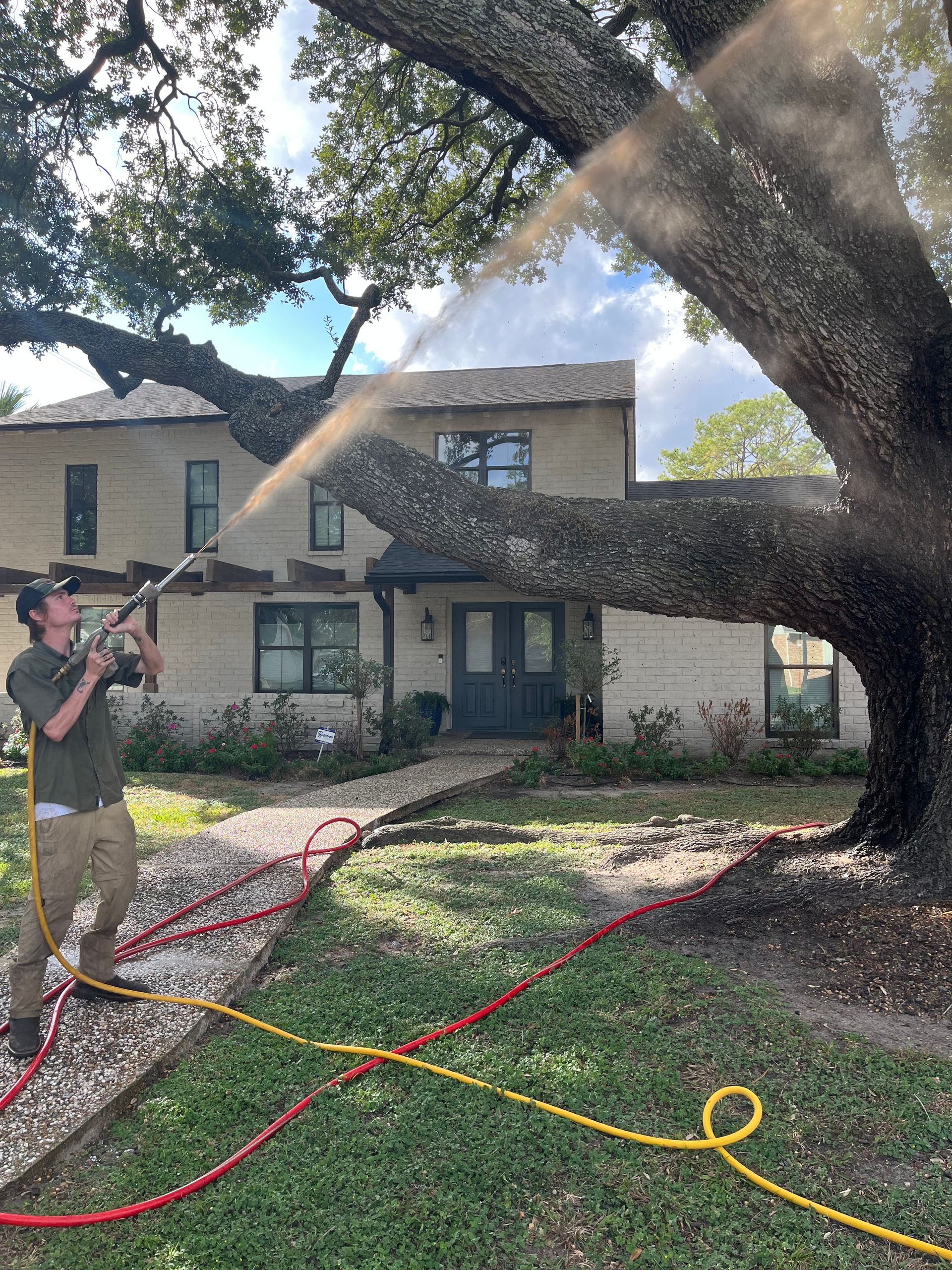 Emergency Tree Care Friendswood