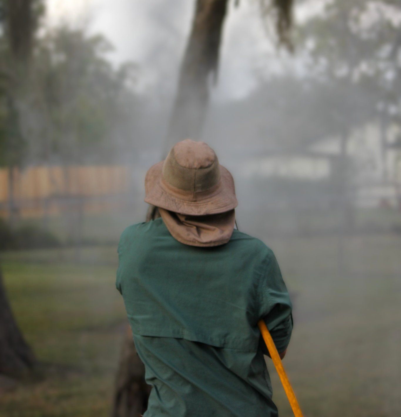 Emergency Tree Care Galveston