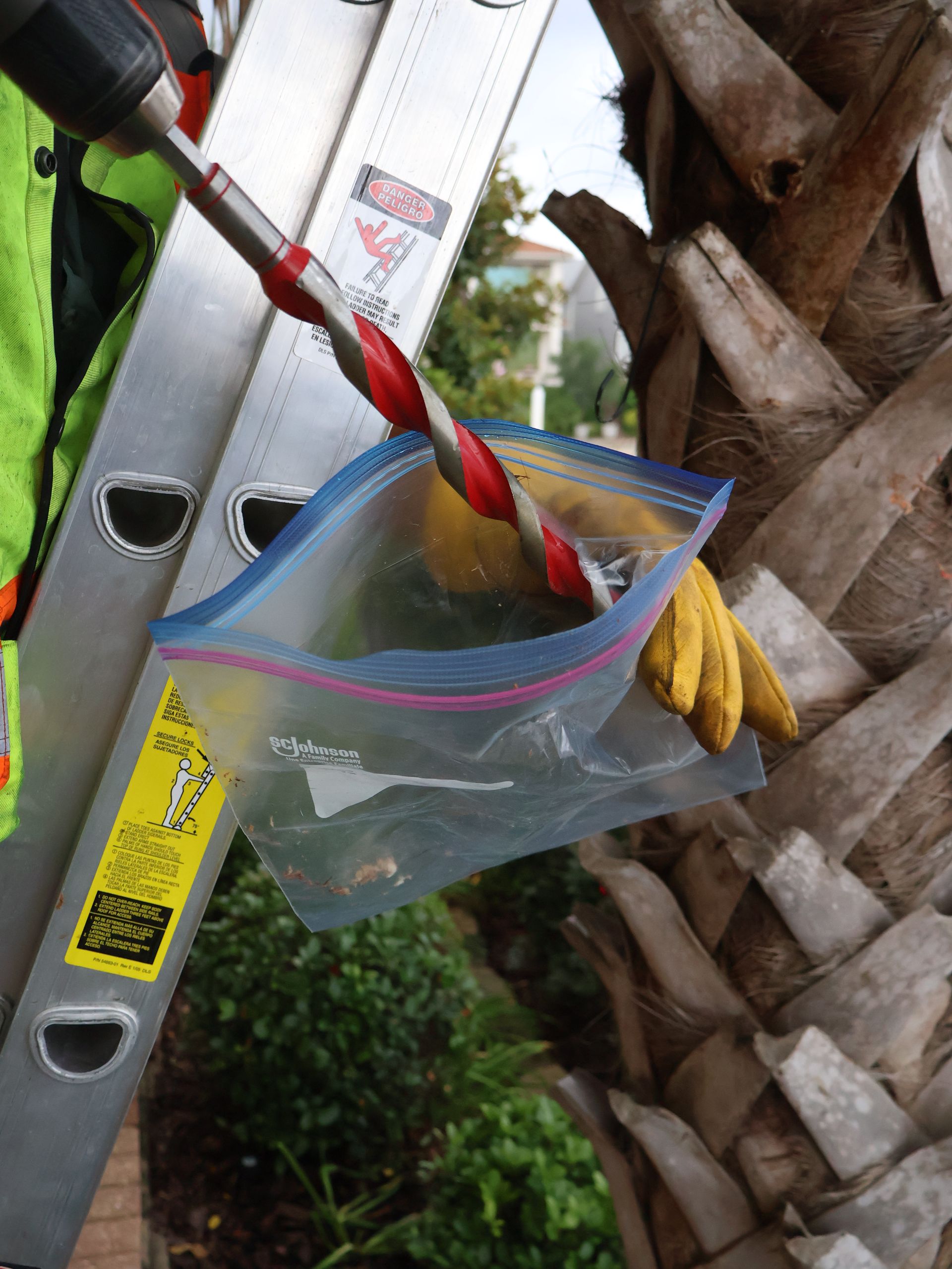 Emergency Tree Care Near Me