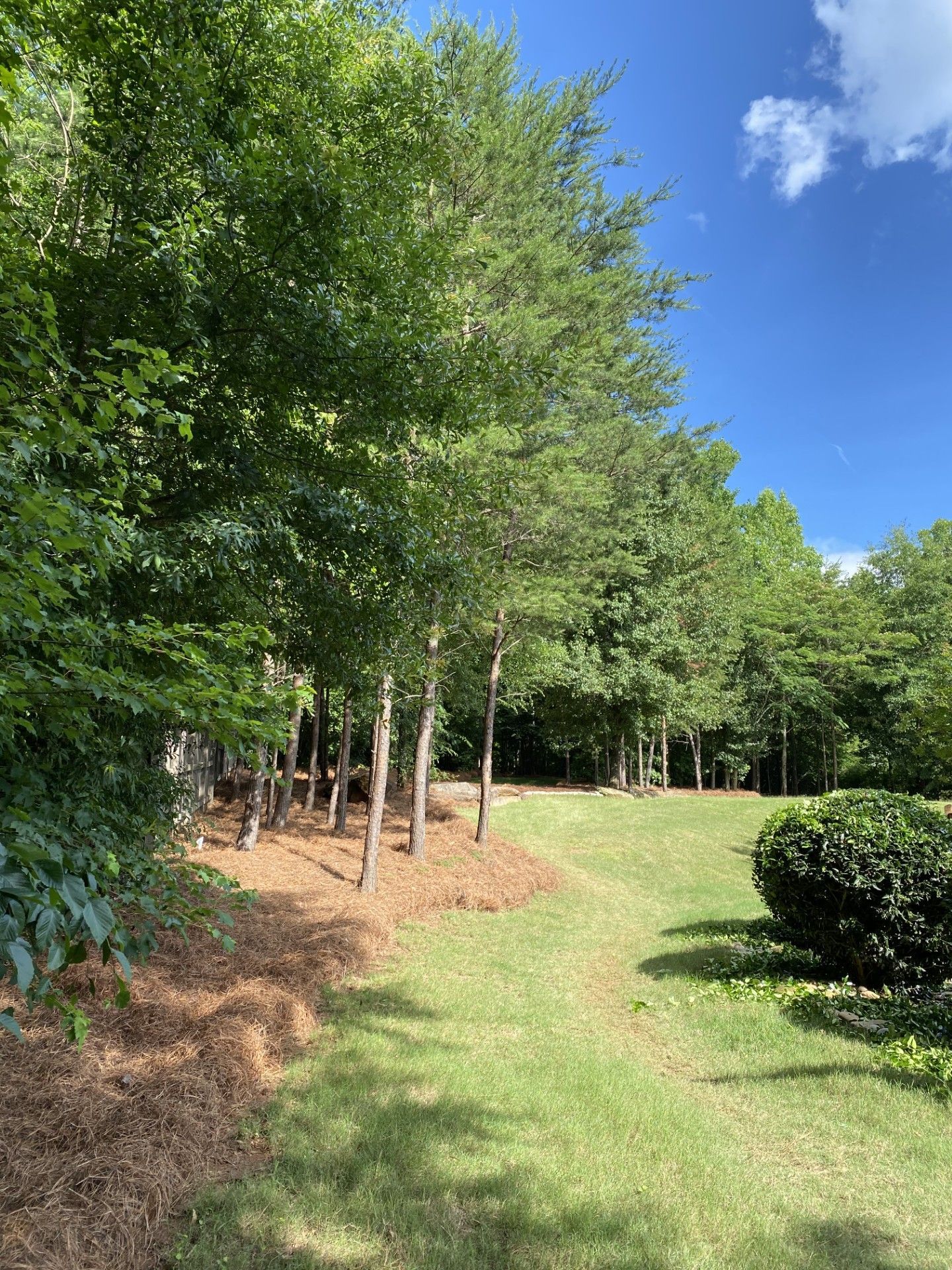 landscaping-pine-needles-duncan