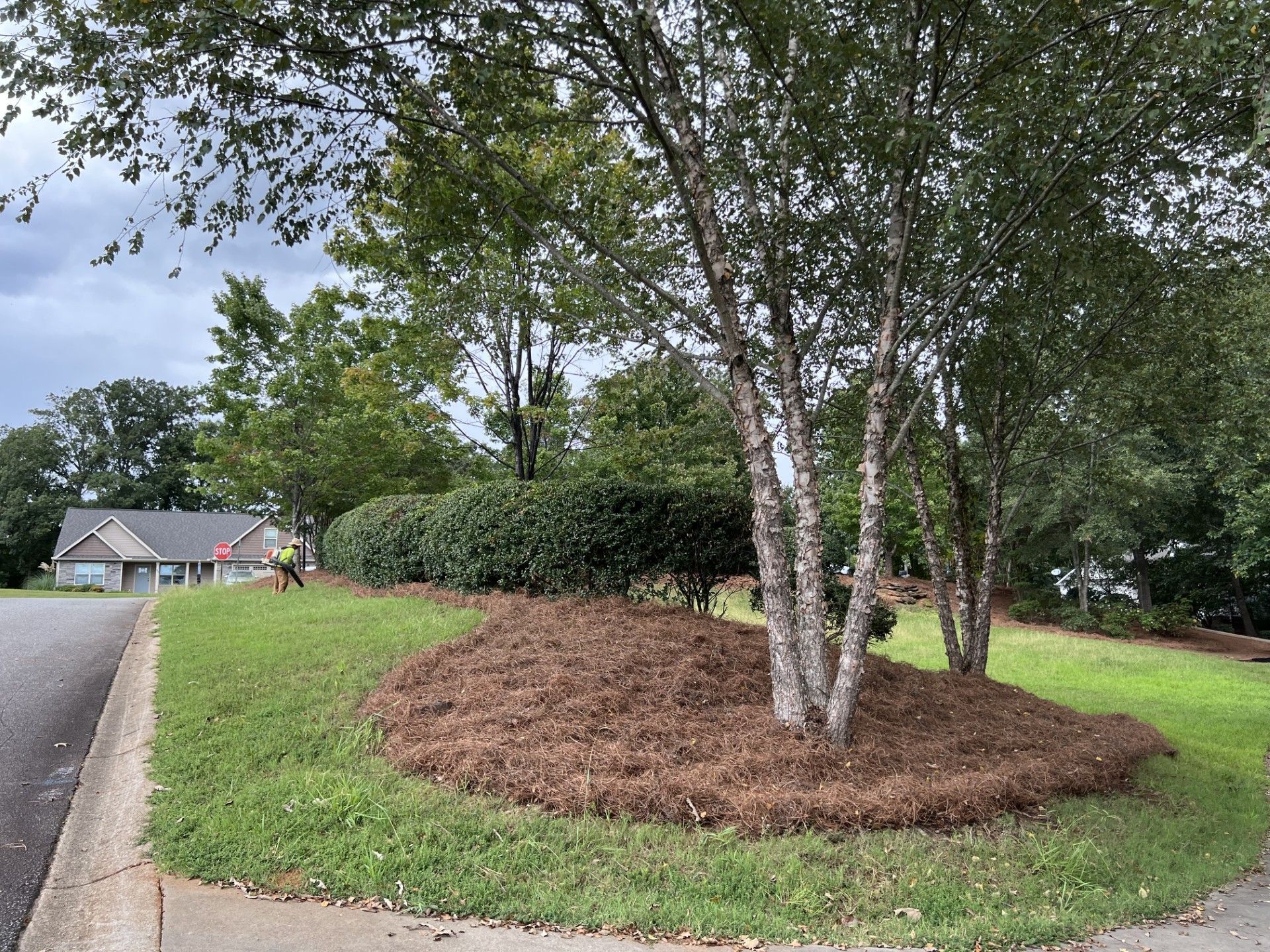 landscaping-upgrades-greer_sc