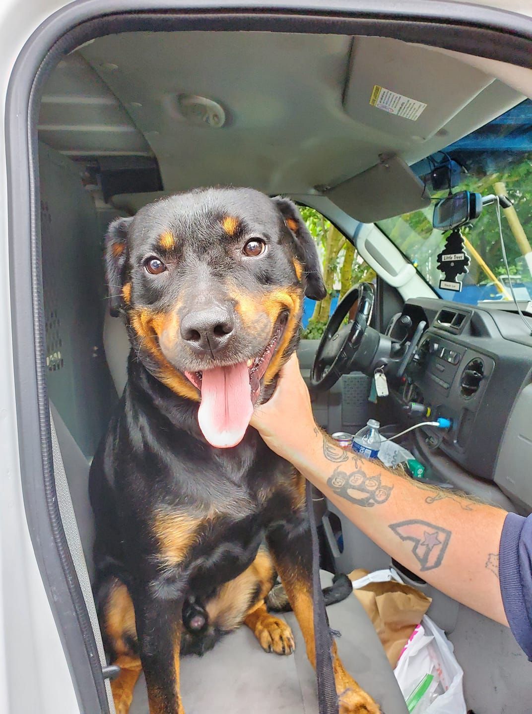 A smiling Rottweiler sits in a car, hand petting dog.
