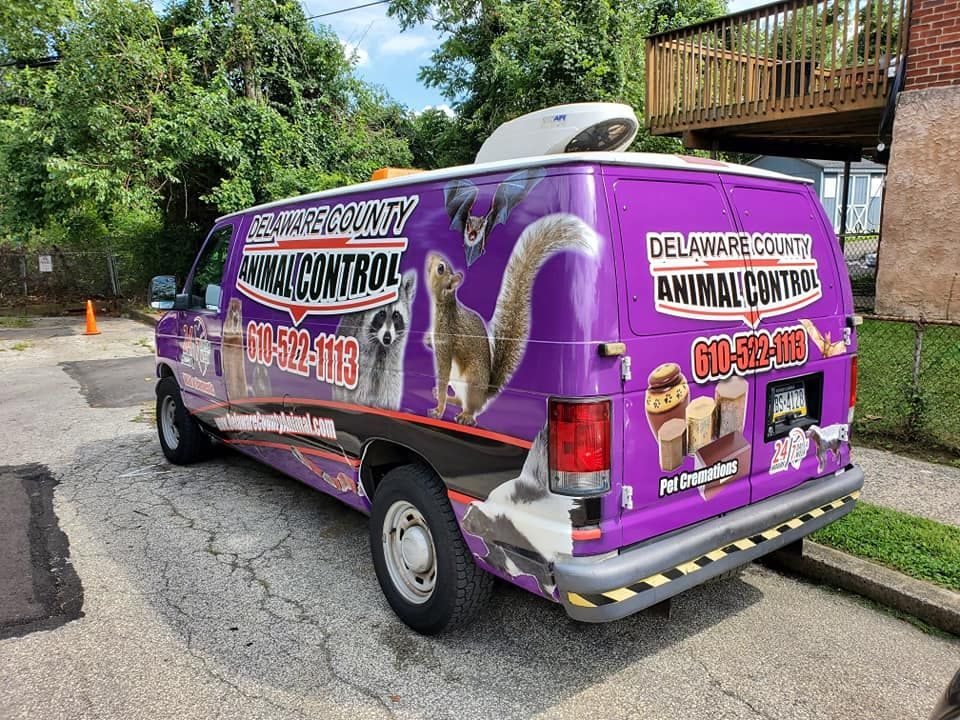 Purple Delaware County Animal Control van parked on a street; features raccoon, squirrel, and contact info.