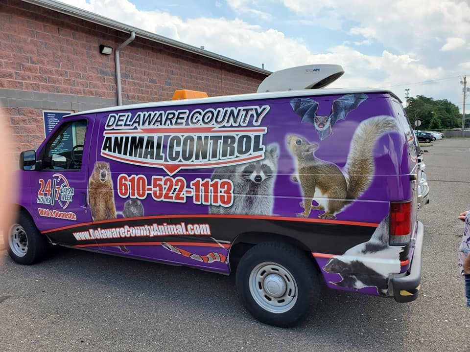 Delaware County Animal Control van with animal graphics, purple and white. Phone number and website are visible.