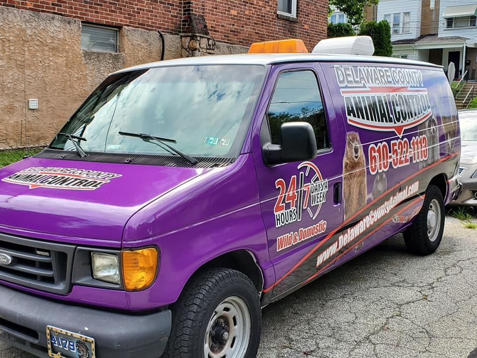 Purple van with 