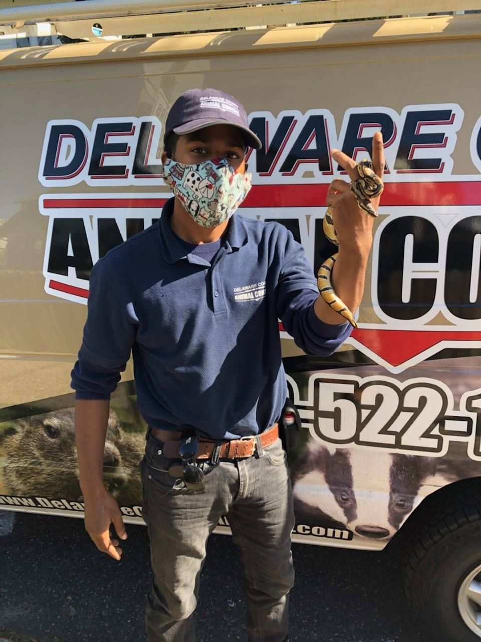 Man in mask holding a snake in front of a van for animal control.