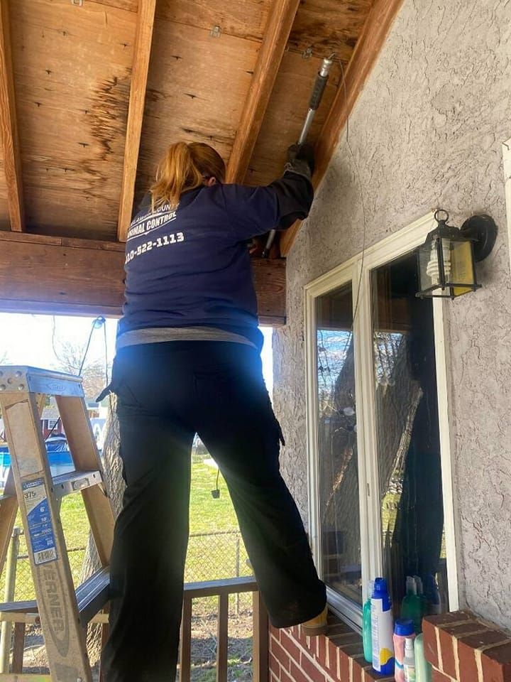 Person on a ladder, working on a wood structure above a window, possibly repairing a roof.