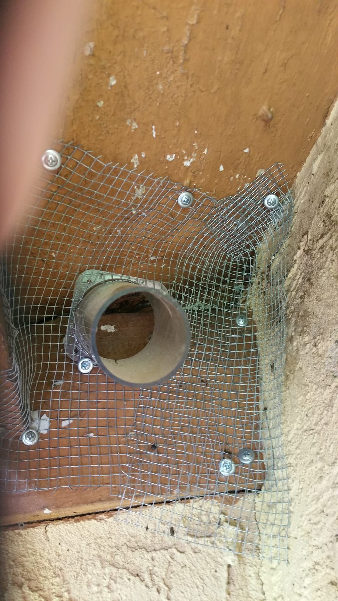 Metal mesh and pipe secured to a tan surface with screws.