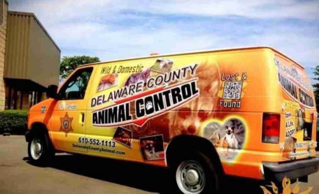 Delaware County Animal Control van with colorful graphic wrap and contact information.