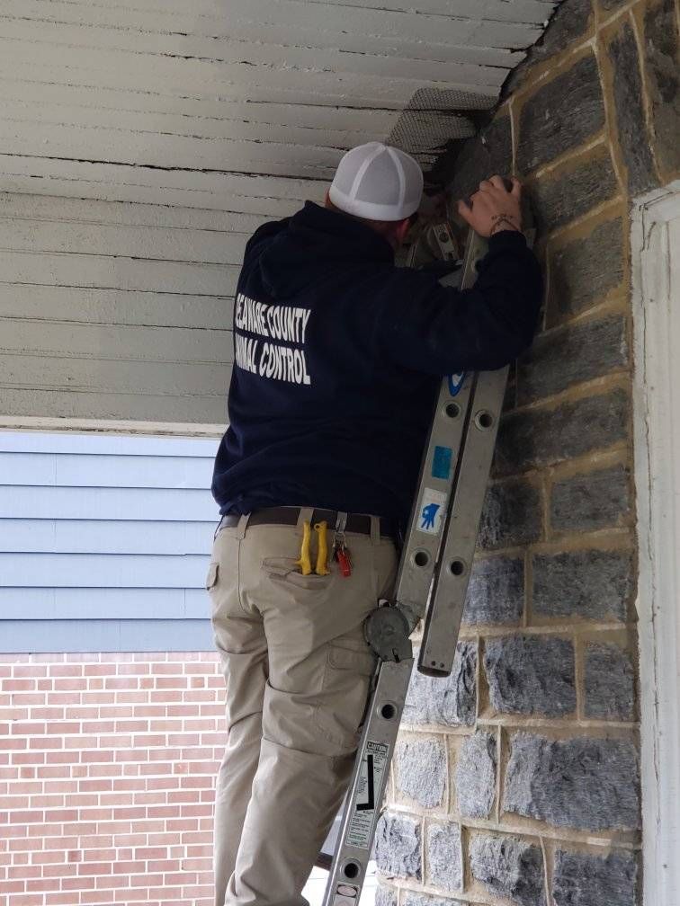 Person on a ladder, working on a building's exterior. The building has brick and stone textures.