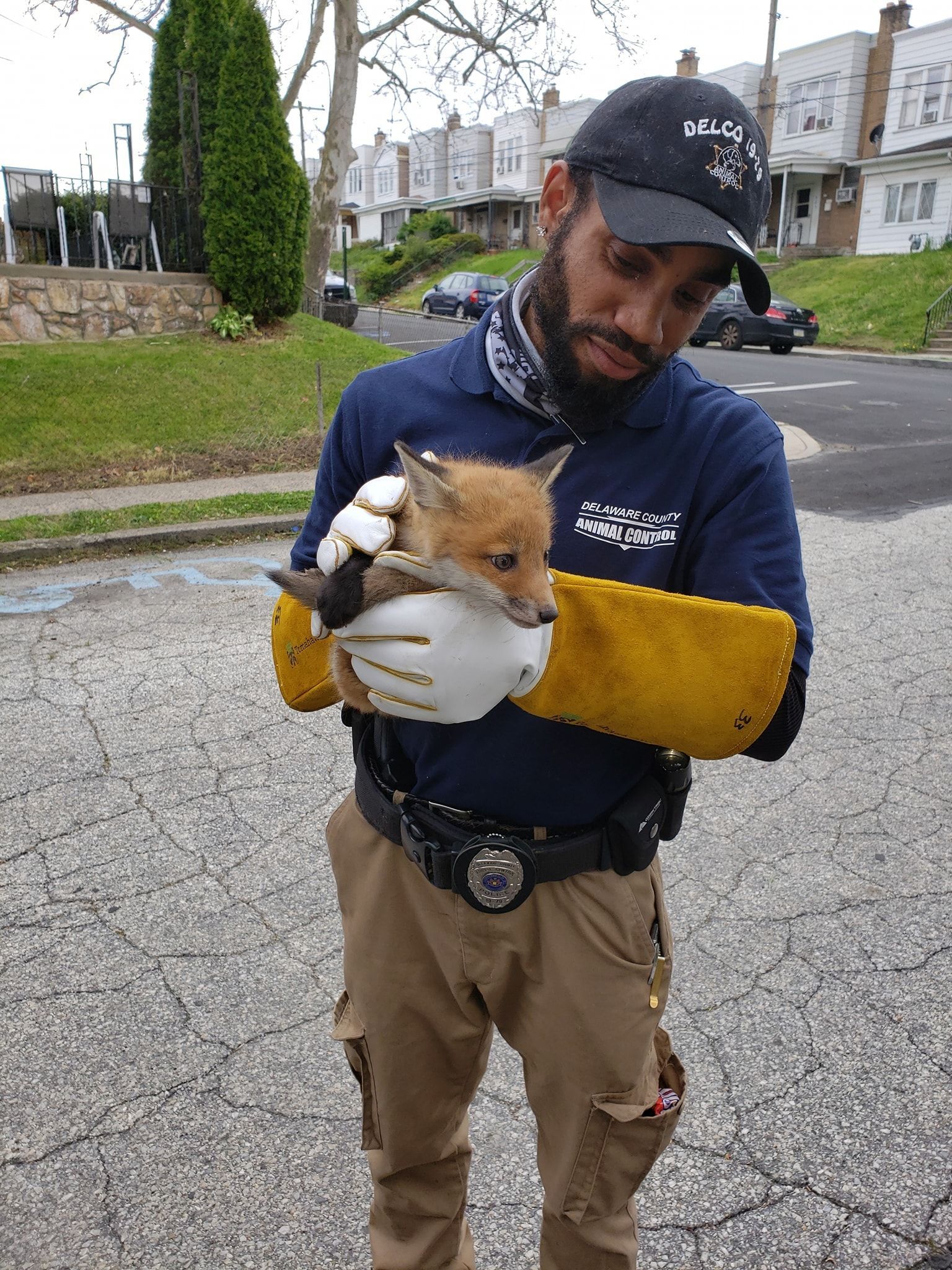 Man in uniform holding a small fox kit in front of a neighborhood street.