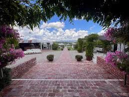 A brick walkway leading to a house with purple flowers.
