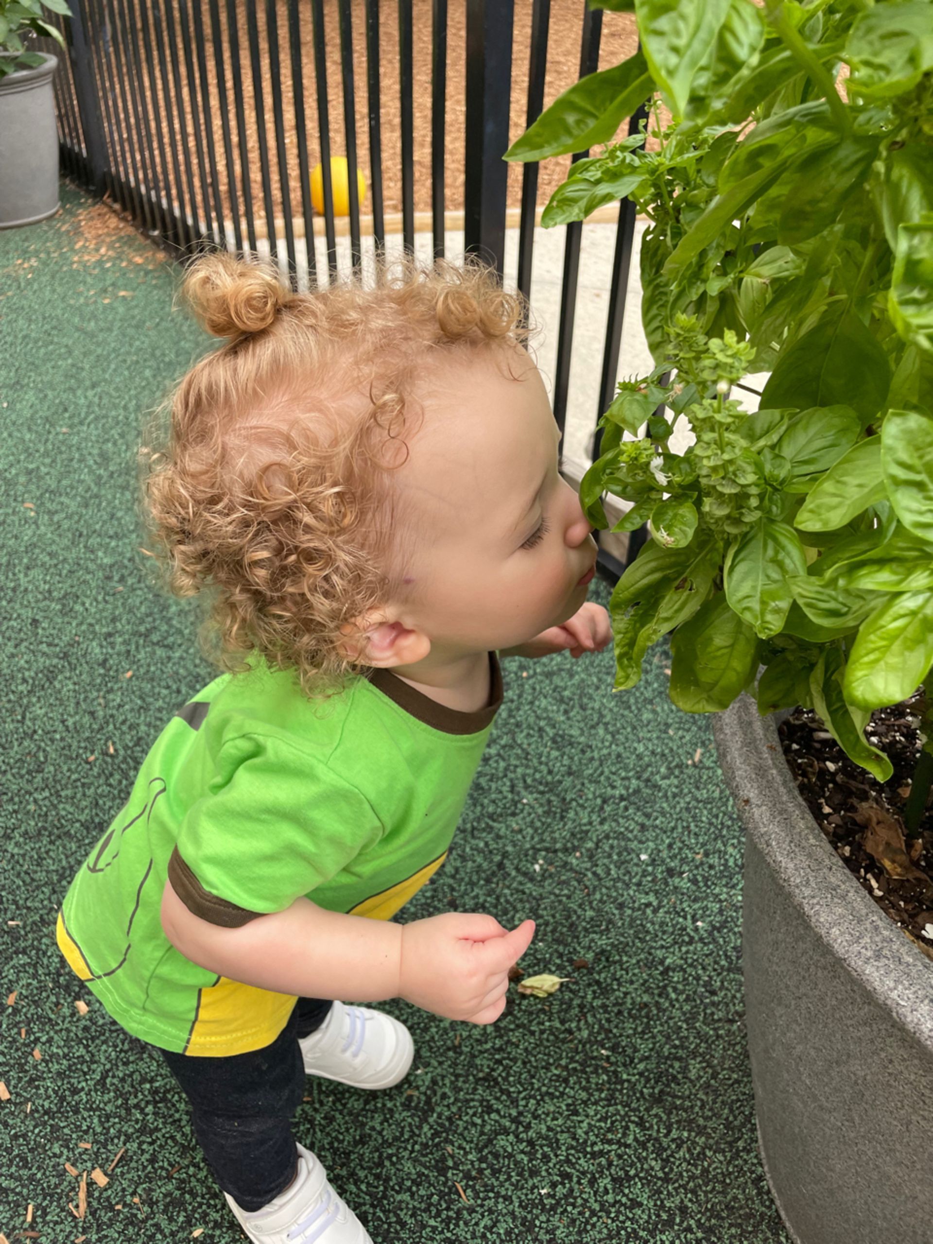 montessori toddler