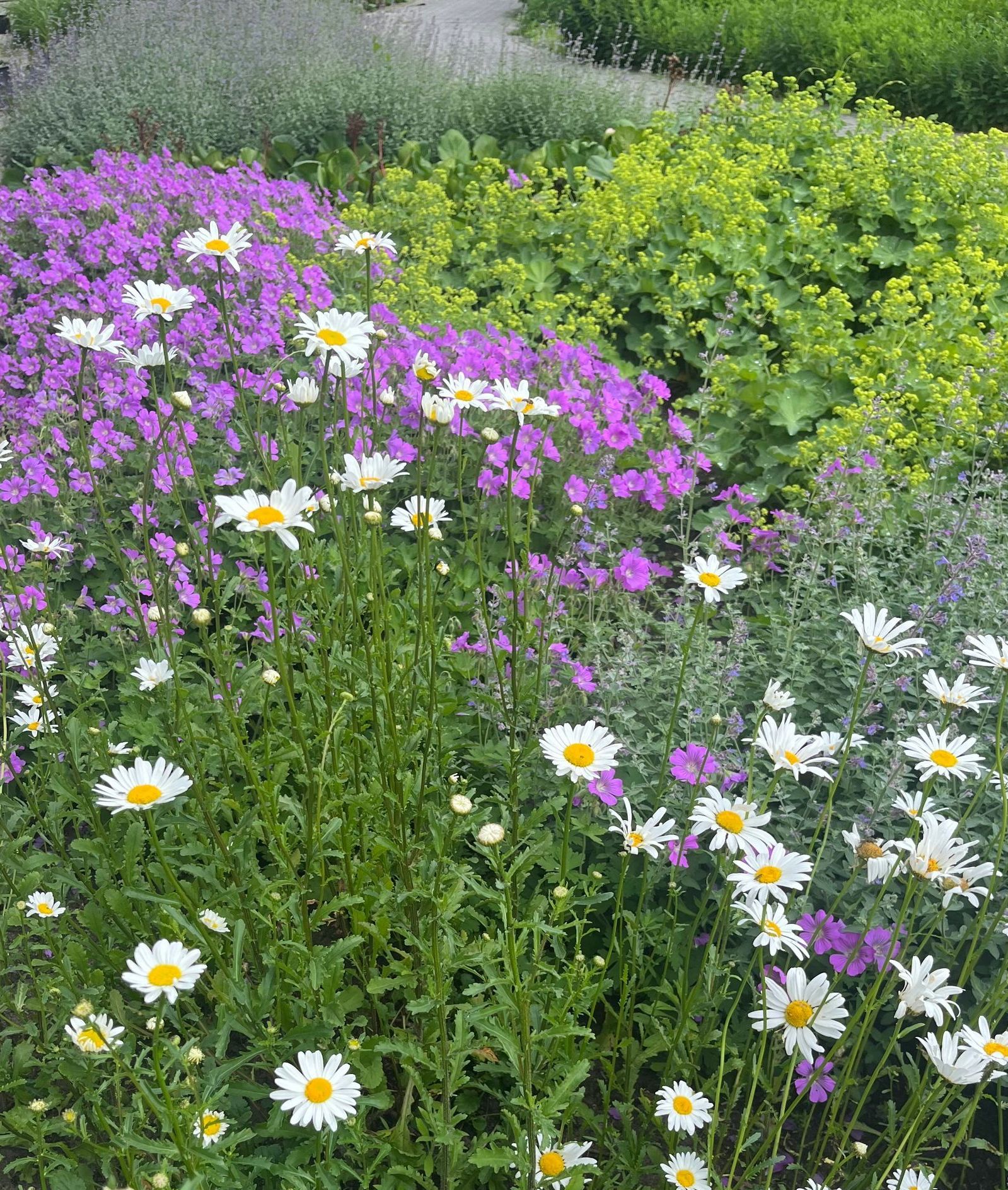 Tuinonderhoud Bilthoven Tuinonderhoud Bilthoven hoveniersbedrijf BiltHoveniers