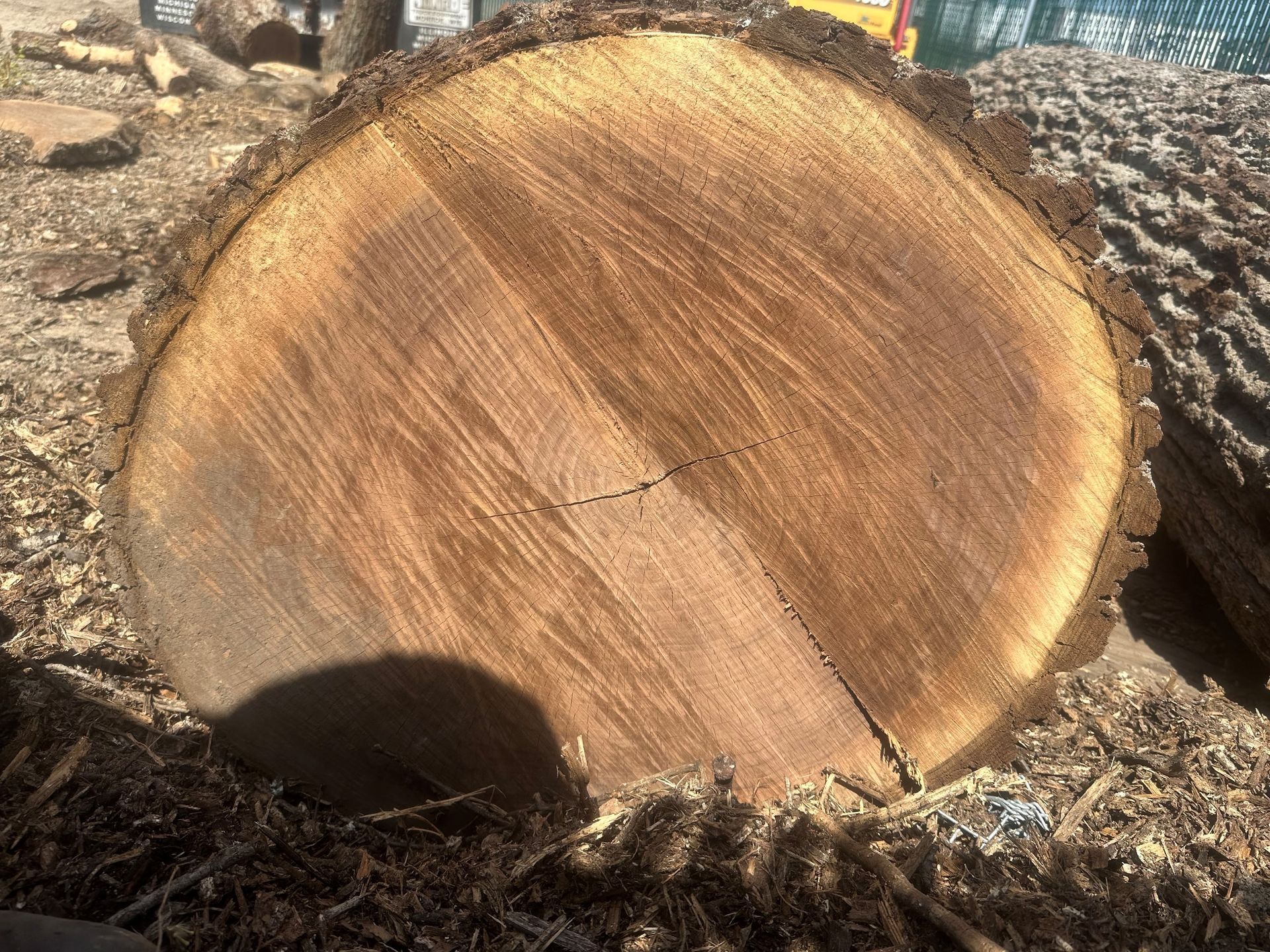 A close-up view of a freshly cut, circular tree log showing wood grain patterns and a rough, dark brown bark edge.