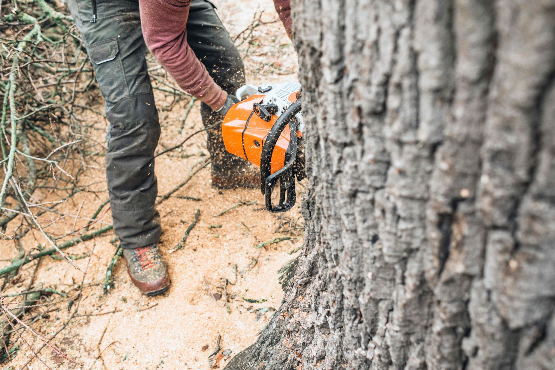 A Man Is Cutting A Tree A Man Is Cutting A Tree
