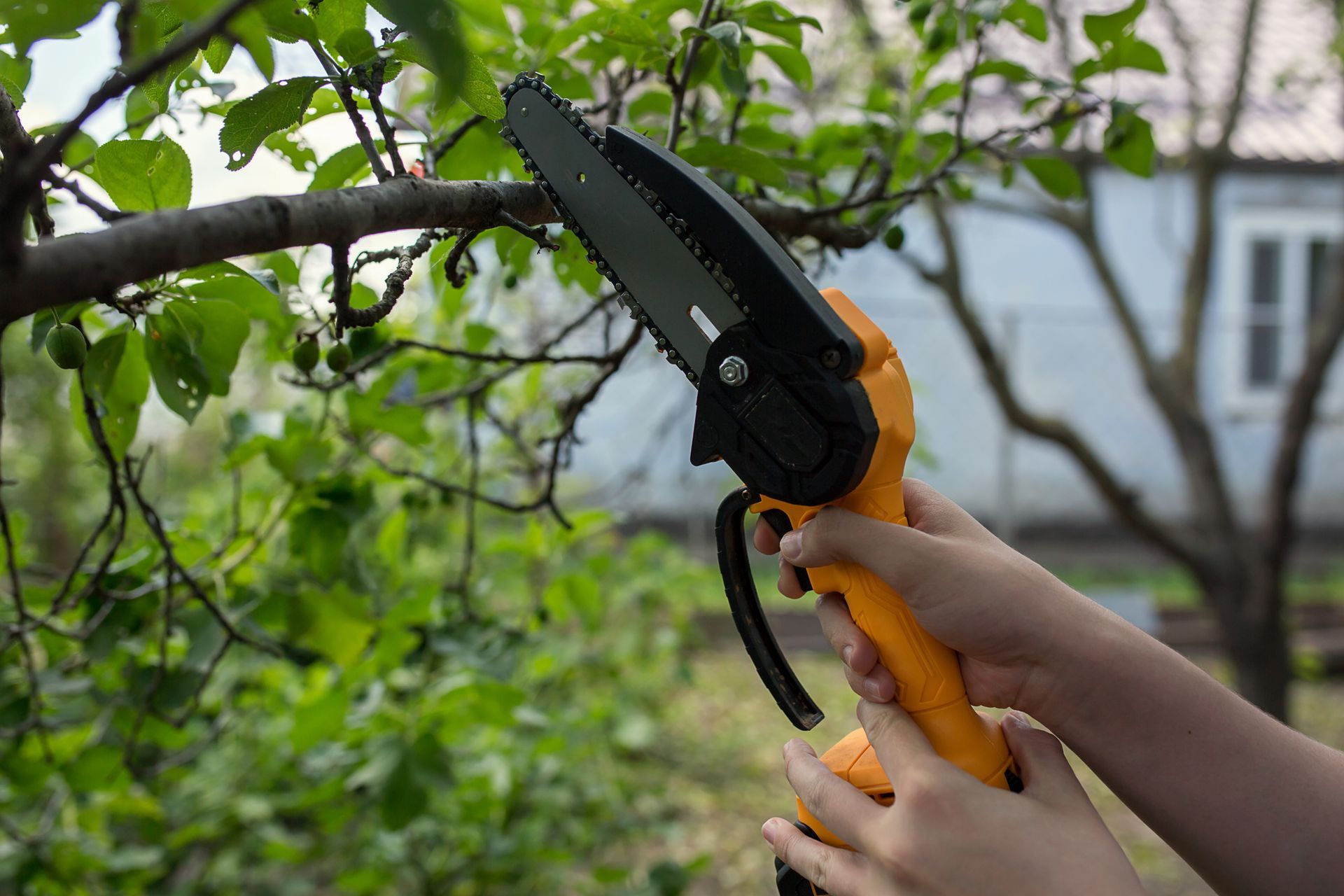 Gardener pruning a tree with a light cordless chainsaw, showcasing his tree care abilities. Hands use a small, yellow handheld electric chainsaw to prune a branch on a leafy tree in an outdoor garden setting.