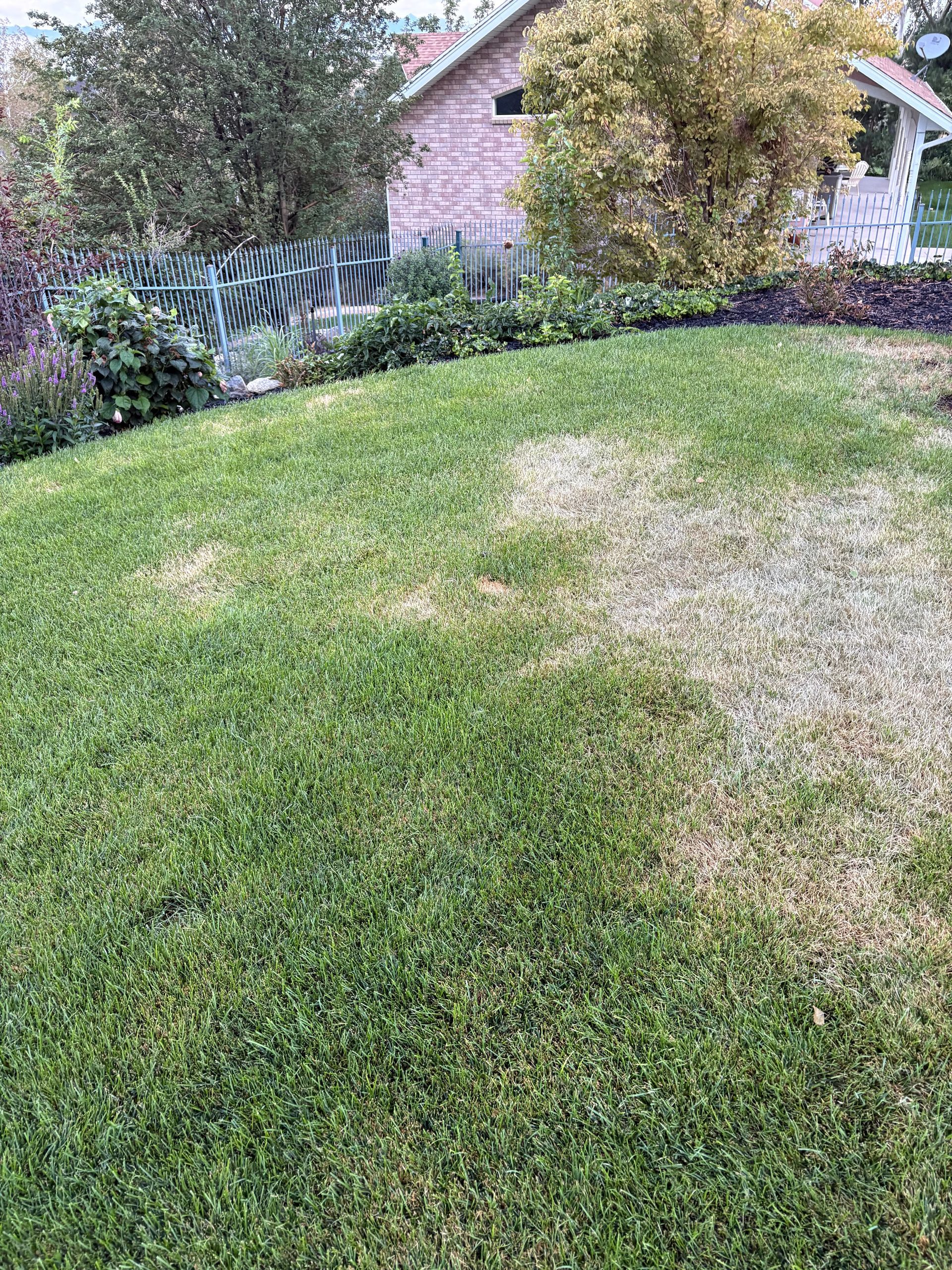 Lawn Rescue Fertilizer
