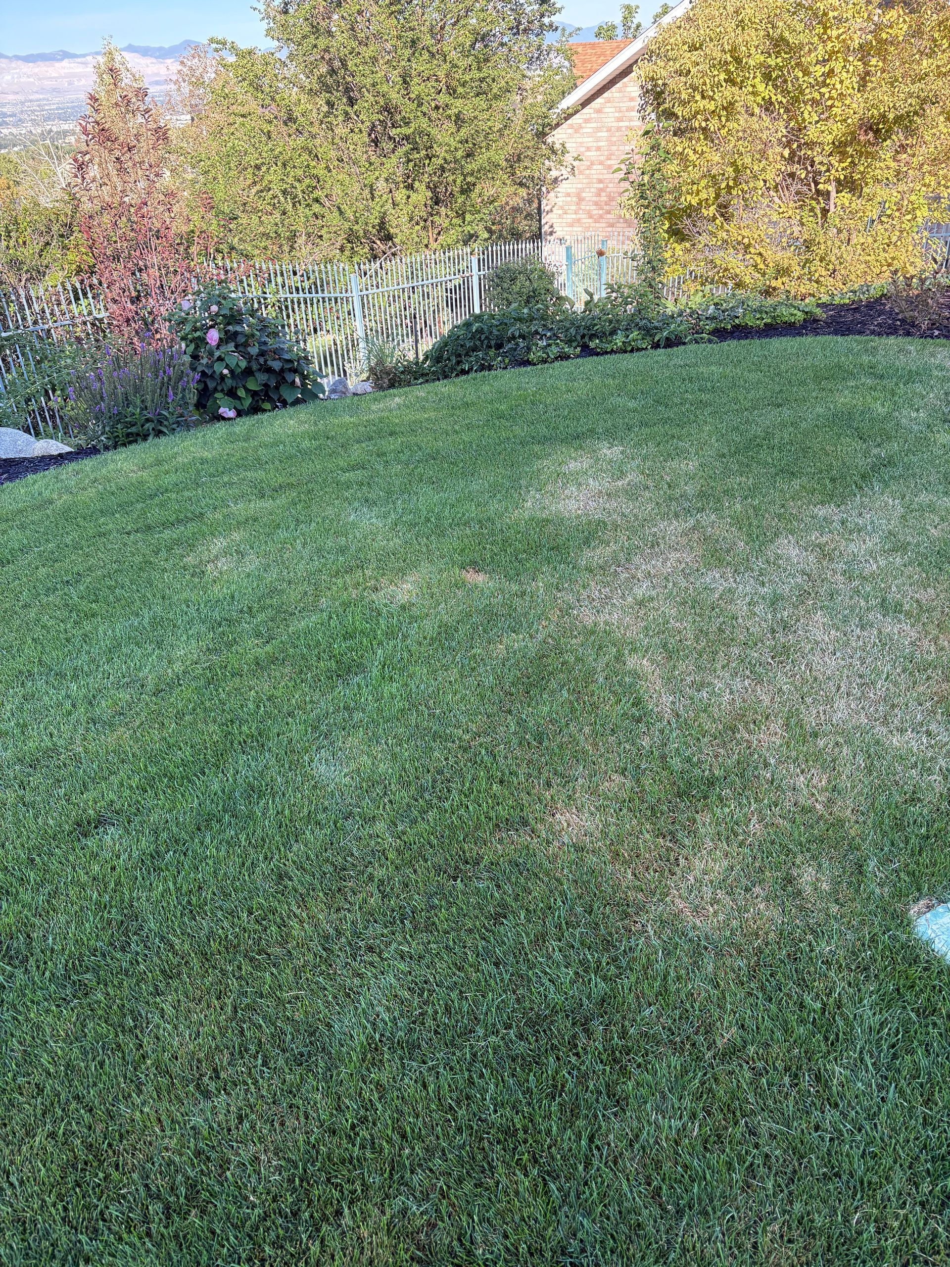 Lawn Rescue Fertilizer