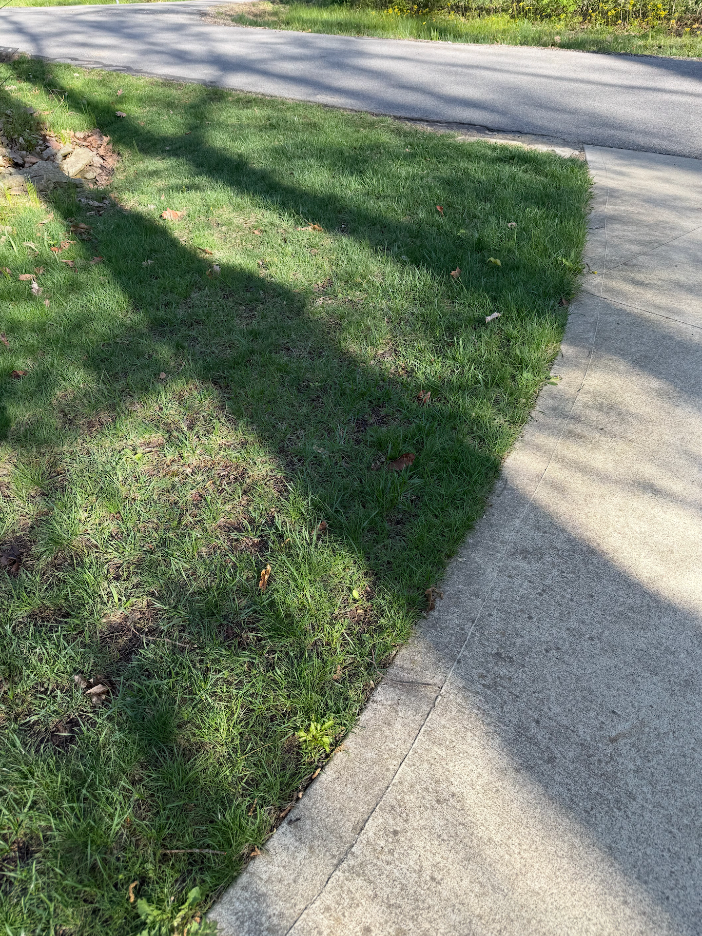Lawn Rescue Fertilizer