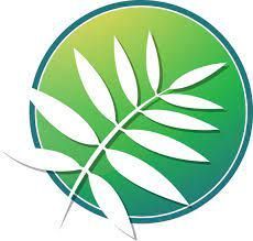 greystanes-disability-services-logo