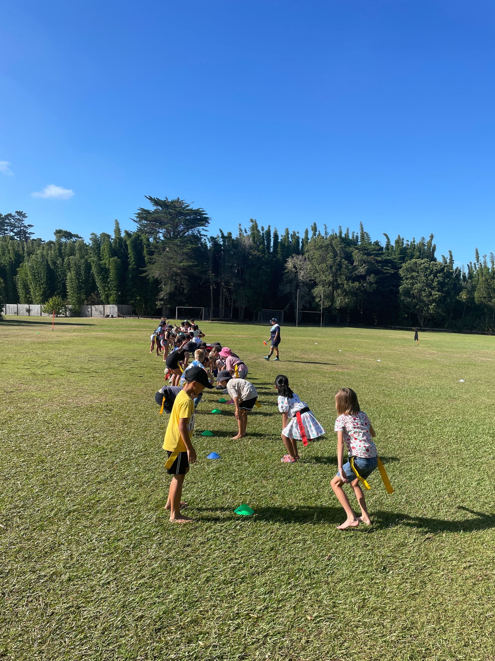 Bluestone School Timaru Rippa Rugby Our Learning