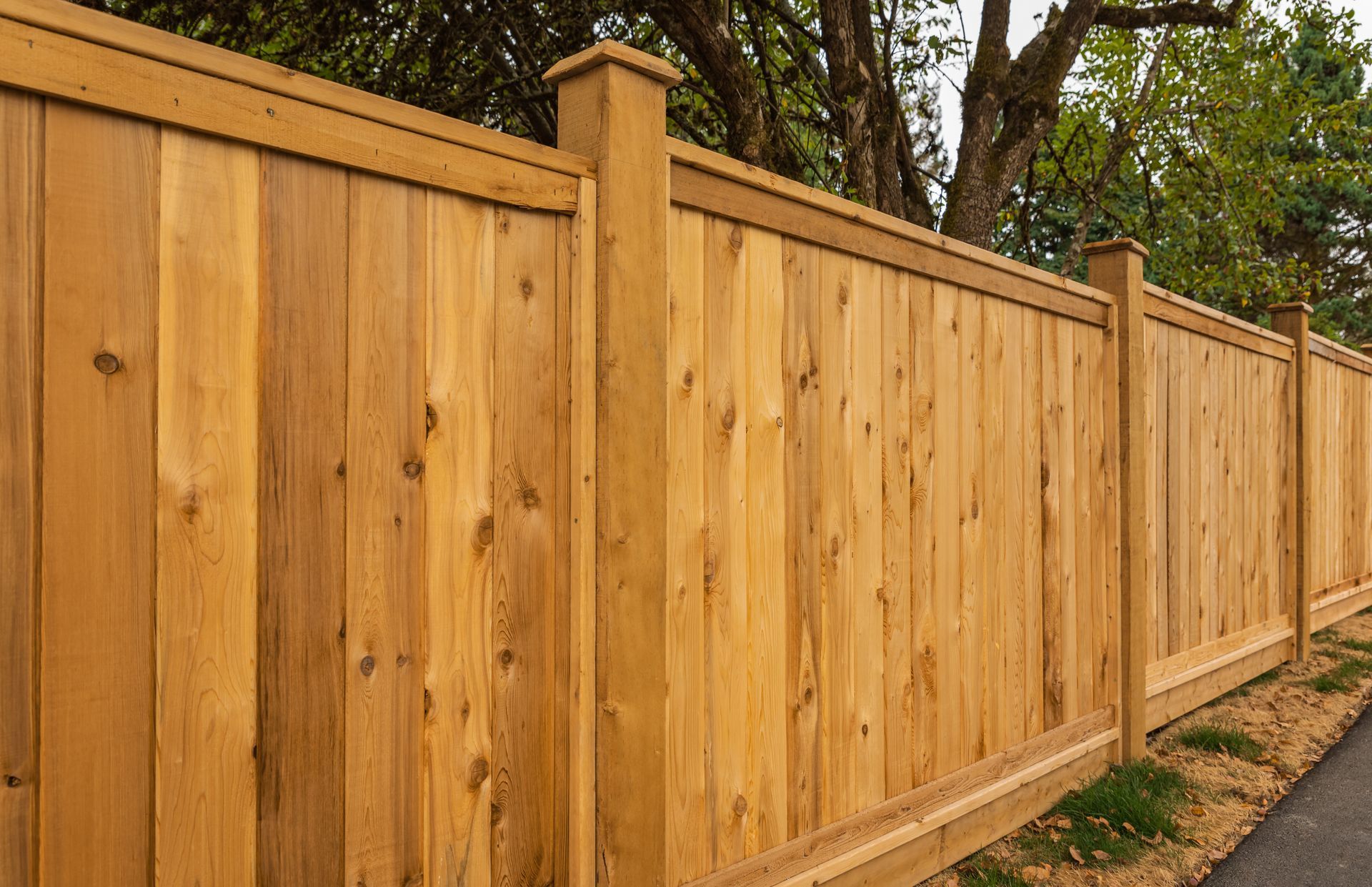 A sturdy, reddish-brown wooden privacy fence with a lattice top, set against a row of evergreen trees and a blue sky.