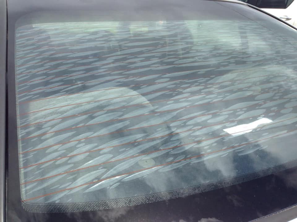 Rear Car Window Covered in Ice Crystals — Mobile Windscreens FNQ in Babinda, QLD