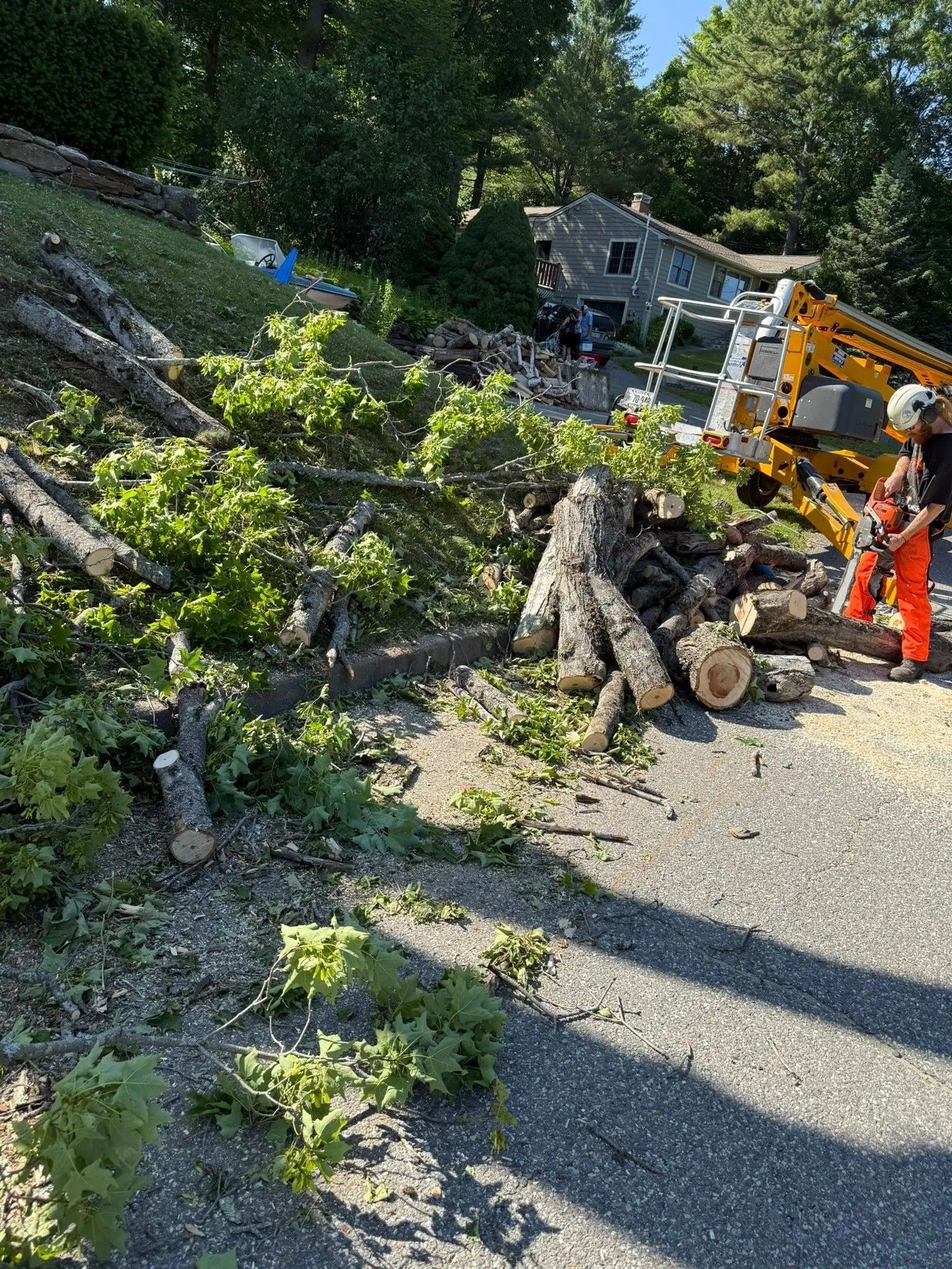 Tree removal on a sloped yard. A worker in orange gear uses a lift and saw. Logs and branches litter the area.