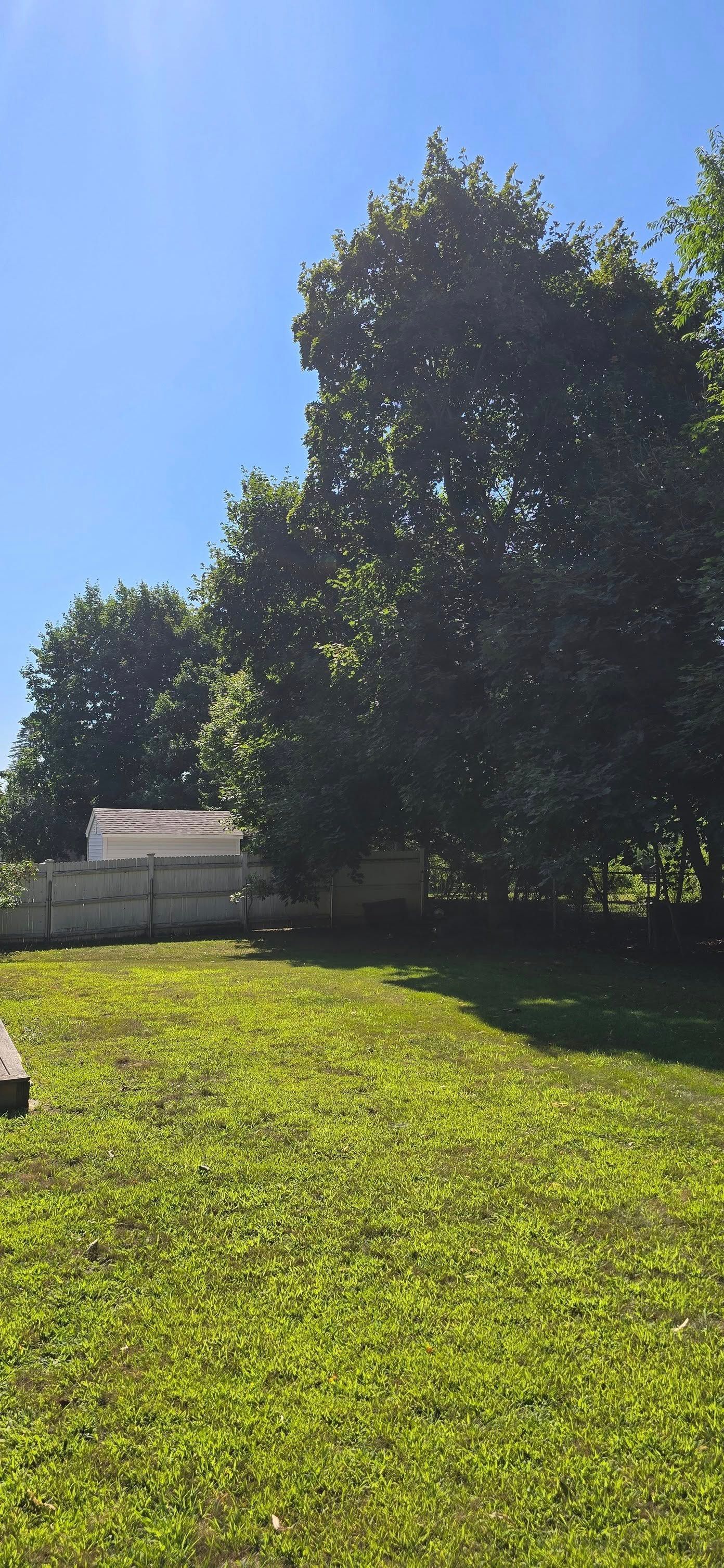 Green lawn with trees and a blue sky in the background. A house is partially visible.