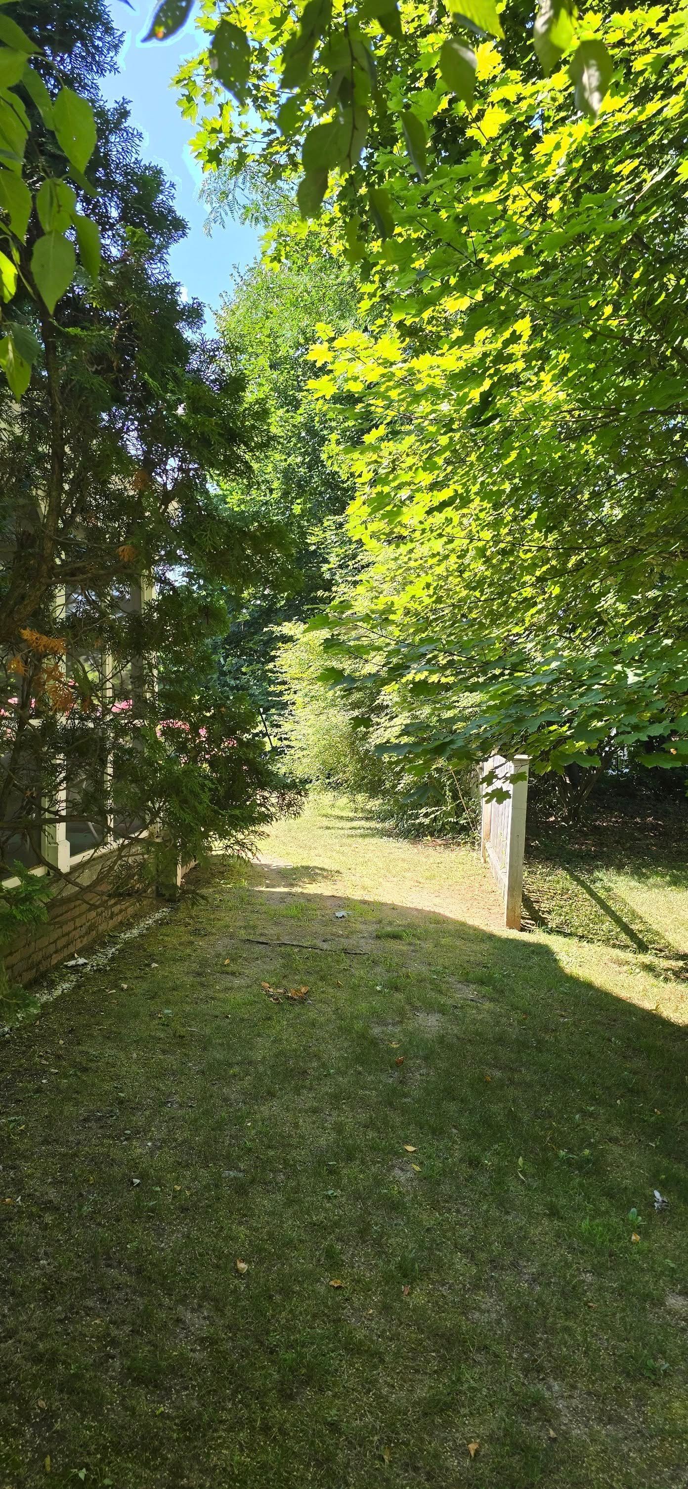 A grassy path leads through trees, sunlight dappling the ground.
