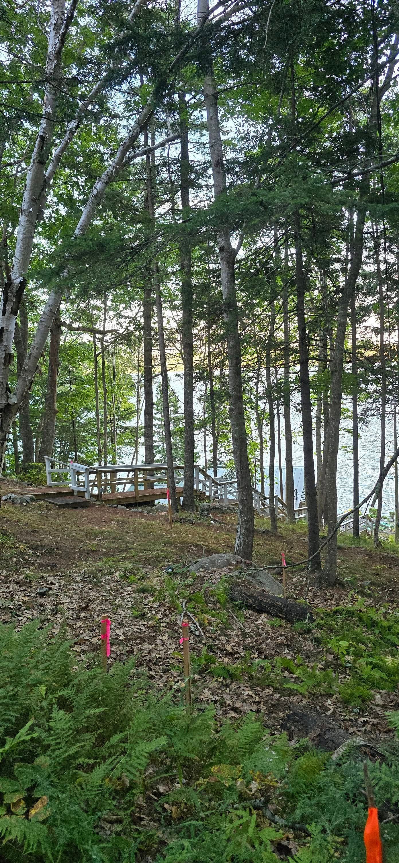 Forest view with trees and water visible through the trees, a picnic table.