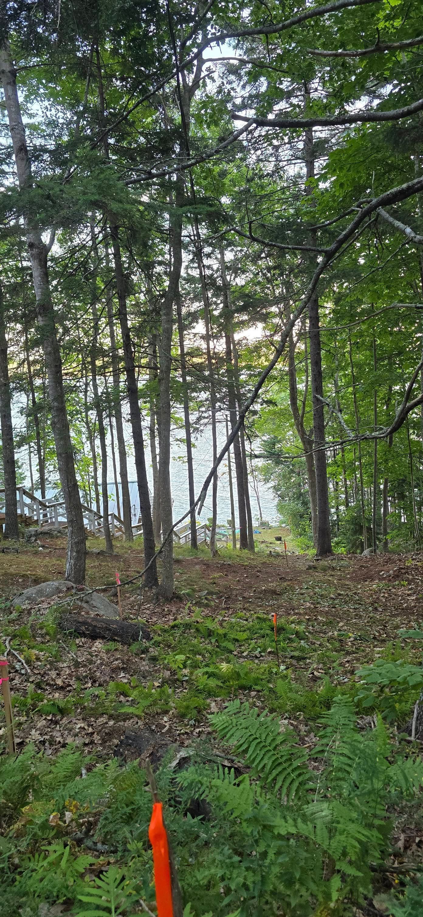 View through trees to a body of water in a forest, with orange marker in foreground.