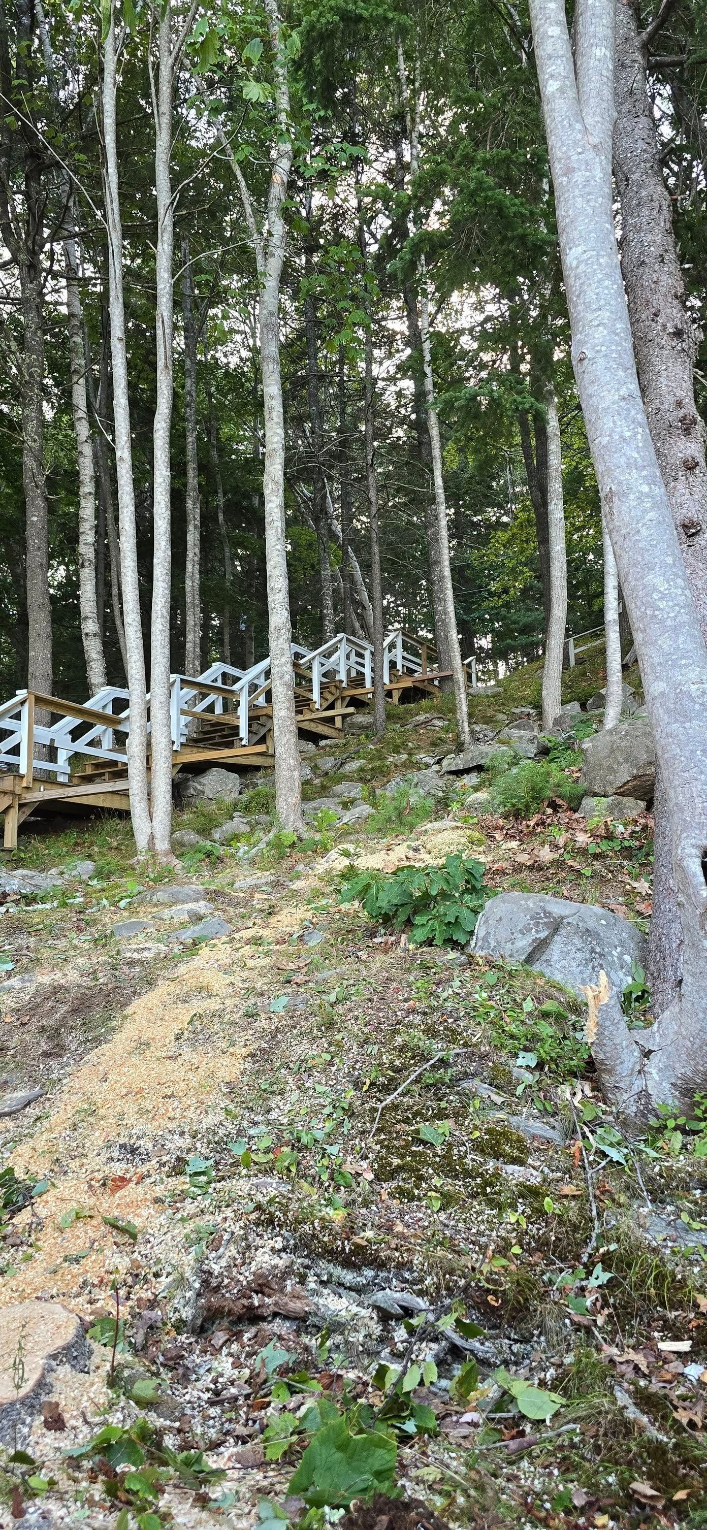 Wooden staircase winding up a hill through a forest.