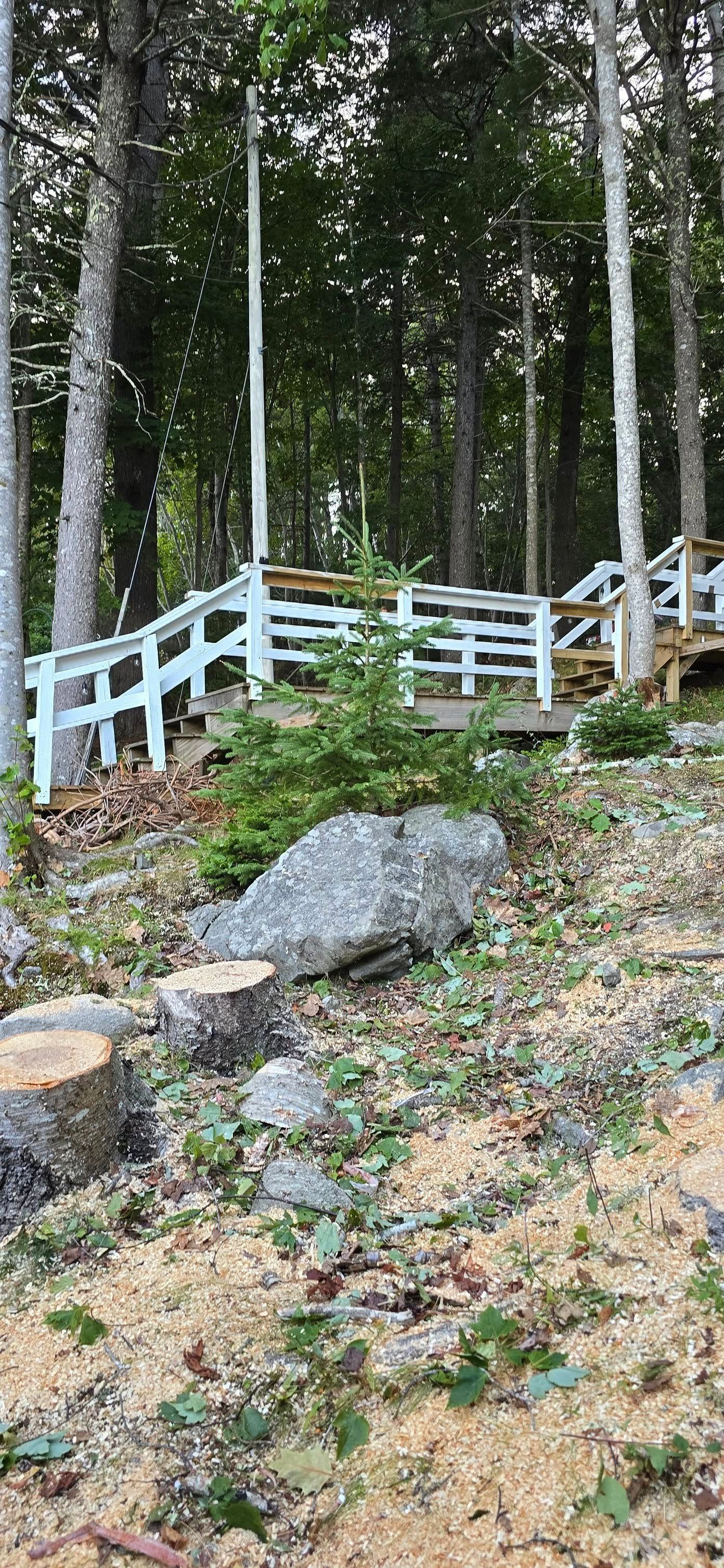 Staircase with white railing leads into woods. Logs and rock in foreground.