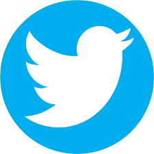 White bird logo on a blue background; the Twitter icon.
