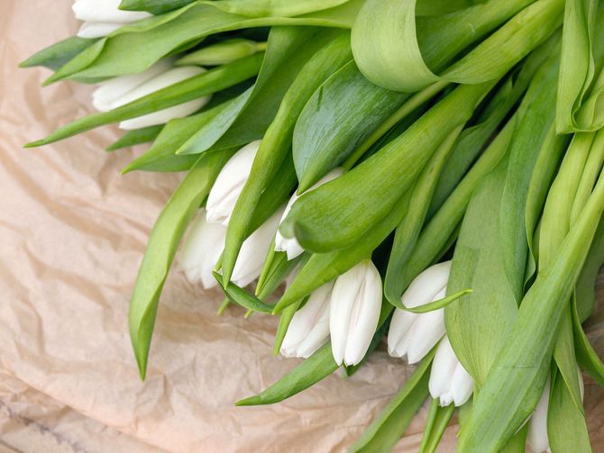 A bouquet of white tulips with green leaves on crumpled beige paper.