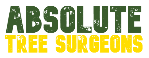 Absolute Tree Surgeons, LLC Absolute Tree Surgeons, LLC