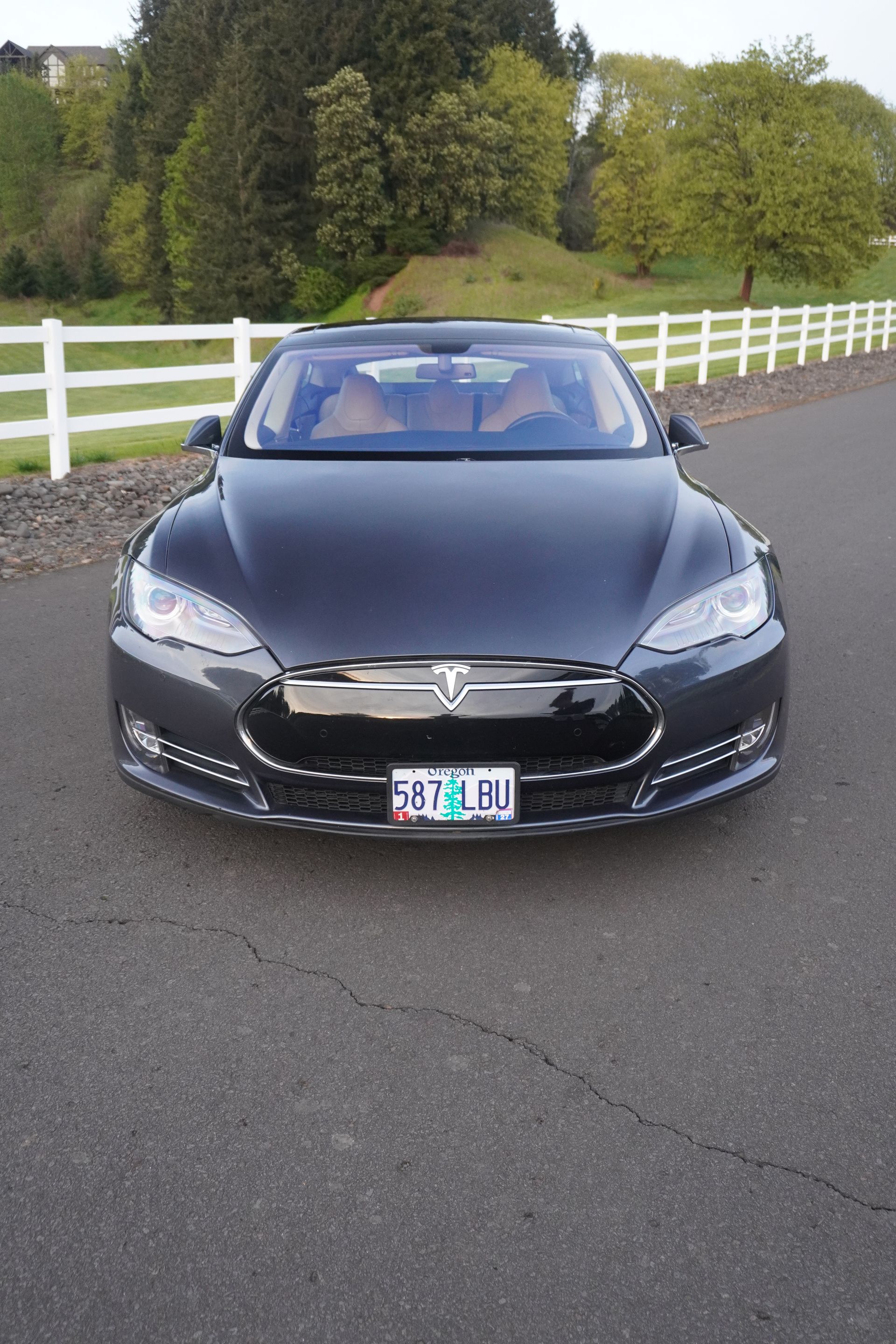 Black Tesla parked on a road beside a white fence and trees, front view under overcast light